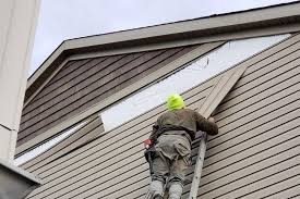 Best Historical Building Siding Restoration  in Mcewen, TN